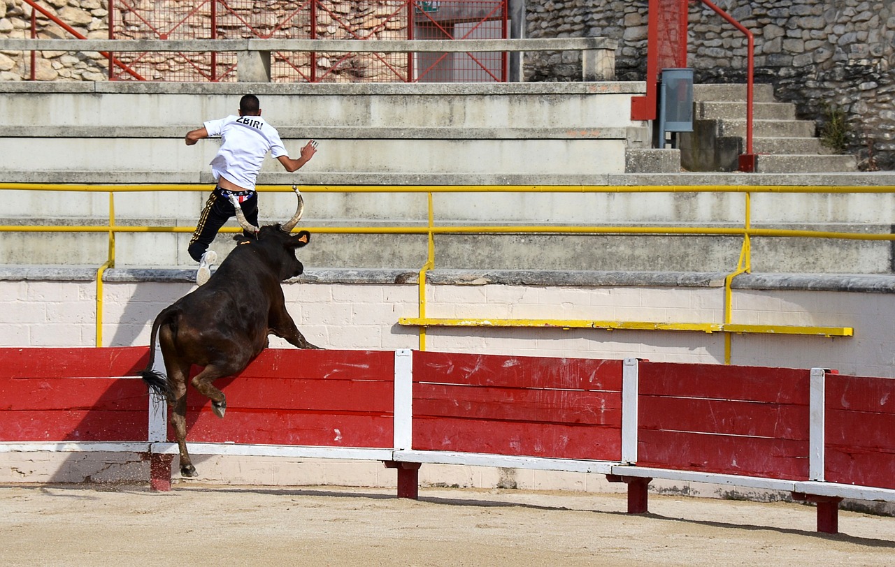 以及SEO