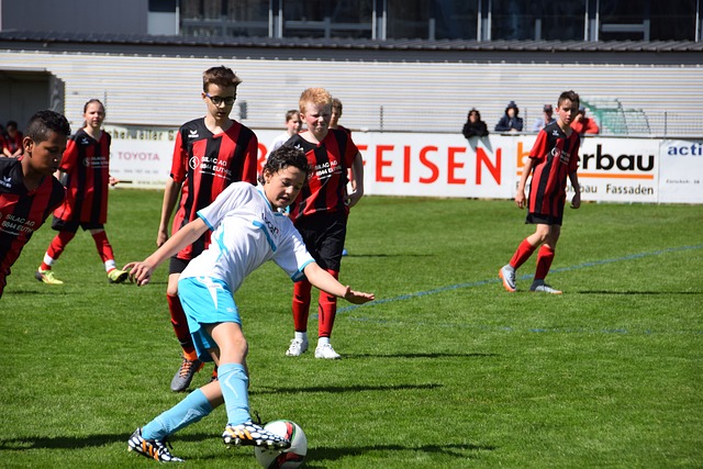 是拉維亞決 是拉維亞決