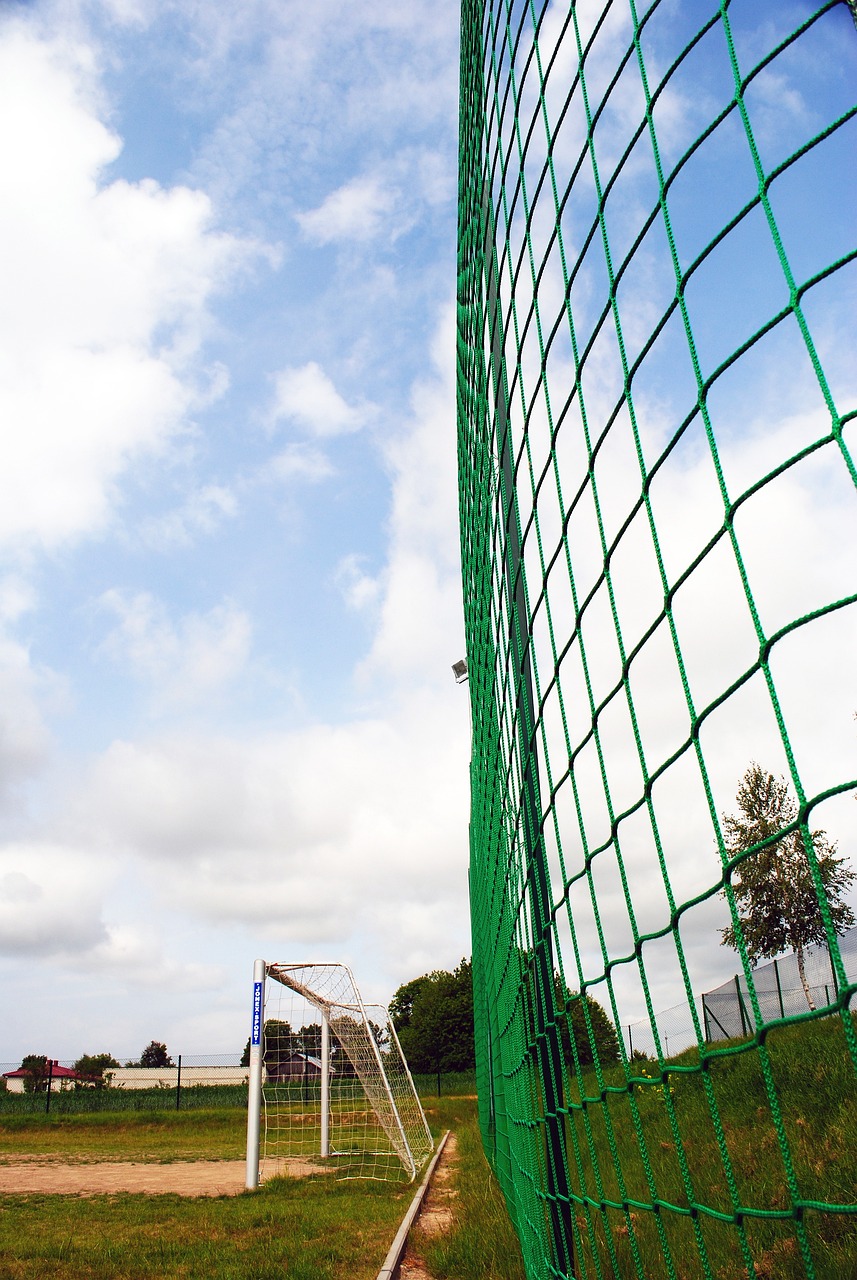 的舞台上 的舞台上