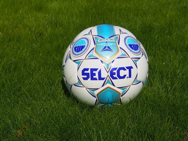 应该从小培 应该从小培